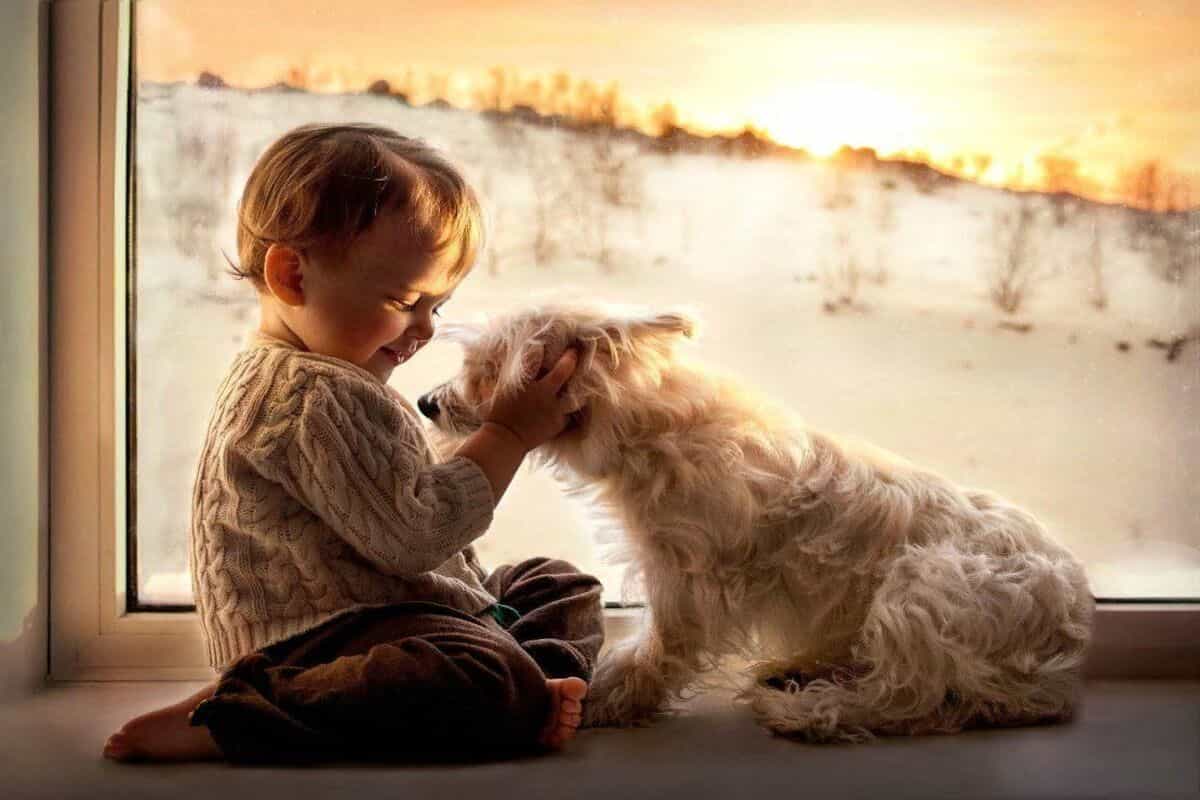 Что такое доброта?