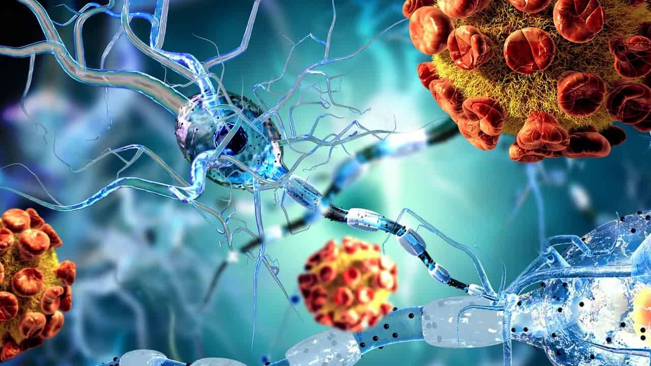 Первичный иммунодефицит